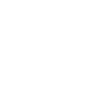 Bibelot Nook logo
